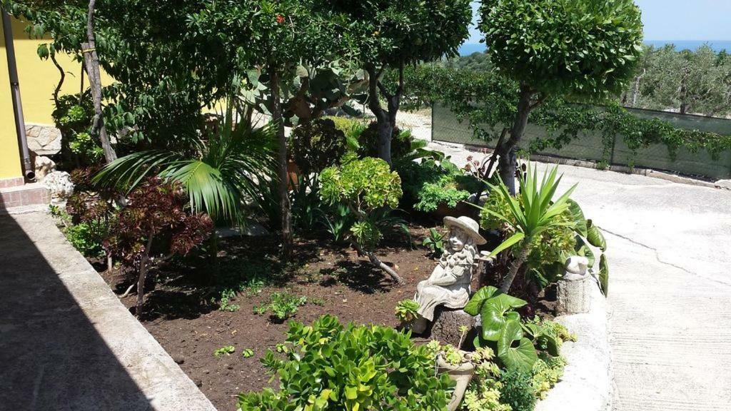 Villa Lucrezia Trilo Vieste Dış mekan fotoğraf