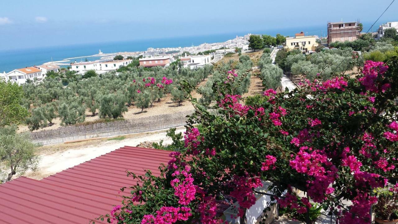 Villa Lucrezia Trilo Vieste Dış mekan fotoğraf